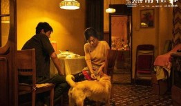 娱乐最近热门消息 瓜瓜吃瓜故事,揭秘娱乐圈最新热门事件背后的故事